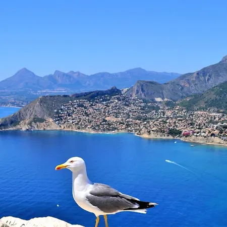 Aplayamar Calpe